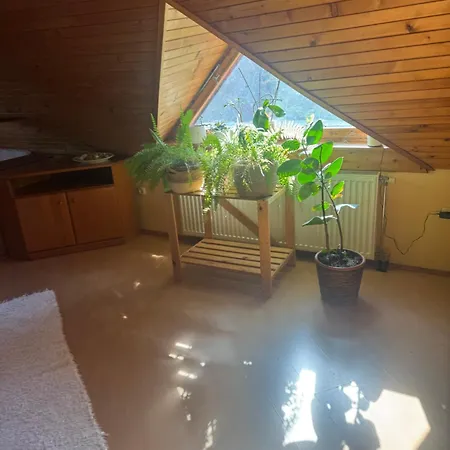 Zengo Lelek-feszek Apartment
