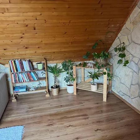 Zengo Lelek-feszek Apartment